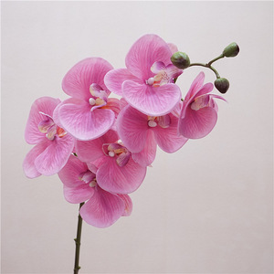 RK207 Orchidées artificielles en gros <span class=keywords><strong>Phalaenopsis</strong></span> <span class=keywords><strong>Dendrobium</strong></span> Latex Papillon 7 têtes Fleurs d'orchidées artificielles au toucher réel - Product Image 4