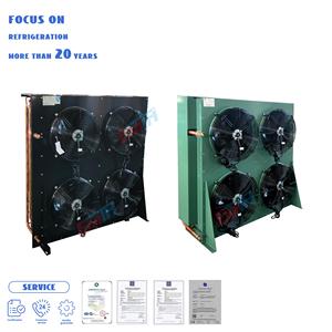 Hiệu suất cao nhanh chóng đóng băng OEM máy nén ngưng đơn vị - Product Image 2