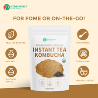 Poudre de Kombucha OEM poudre de thé Kombucha biologique extrait de Kombucha instantané boissons solides solubles dans l'eau