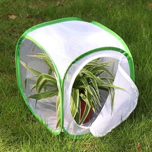 Terrarium portable carré en polyester à motif uni, respirant, avec fermeture éclair, pour l'élevage de papillons monarques et de chrysalides - Product Image 2