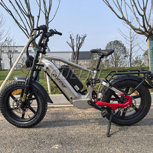 Bicyclette de <span class=keywords><strong>chasse</strong></span> 20 pouces Pro Fast Electric Snow Fat Tyre 48V60V Dual Motors Electric Off-Road Bicycle Racing Bicicleta - Product Image 1