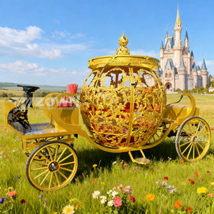 Chariot Citrouille Doré Premium à Motifs Sculptés pour Visites Touristiques en Ville et Divertissements en Famille - Product Image 3