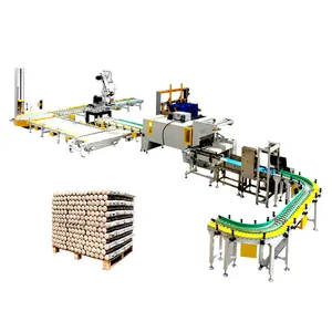 Automated Briquette palletizing Packing system with sleeve wrapping