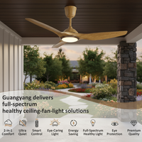 Ventilateur de plafond LED moderne de luxe de 20 pouces avec moteur DC, 6 vitesses, économie d'énergie, garantie de 10 ans pour villa