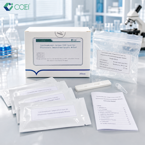 ชุดทดสอบแอนติเจนคาร์ซิโนเอมบรีโอนิค (CEA) แบบเรืองแสง เกรดห้องปฏิบัติการ COEI สำหรับการตรวจหาสารบ่งชี้เนื้องอกลำไส้ใหญ่และลำไส้ส่วนท้าย สำหรับส่งออก - Product Image 1