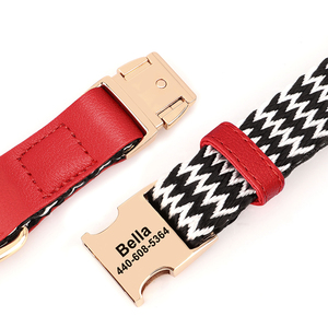 Collar personalizado para perro y juego de correa impreso, fabricación de estilo occidental personalizado, cuerda pequeña y grande de nailon para mascotas, accesorios para caminar - Product Image 3