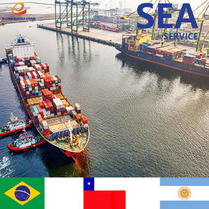 Il prezzo più basso per il trasporto via mare dalla Cina al Brasile, Cile e Argentina, con servizio dddp (consegnato a pagamento) - Product Image 4