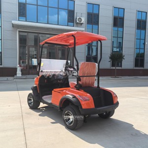 Carrito de Golf Eléctrico de 2 Plazas, con Batería de Litio, de Baja Velocidad, para Clubes y Zonas Turísticas - Product Image 3