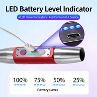 Lampe torche LED UV à six sources lumineuses en alliage d'aluminium, rechargeable par Type-C, 350 lumens, pour l'inspection des bijoux en jade