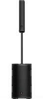 BDSOUND 300W Altavoz de matriz lineal de alta potencia Graves ultra profundos para batería de 5,3 10000mAh para actuaciones en el campus del teléfono móvil