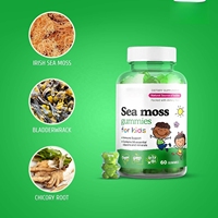 Gummies de soutien immunitaire à prix d'usine - Complément alimentaire en forme d'oursons gélifiés à la mousse de mer pour enfants