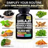 OEM Shilajit en capsules, complément alimentaire pour l'immunité, l'énergie et la santé, curcuma, ashwagandha, rhodiola rosea, ginseng panax, capsules de shilajit
