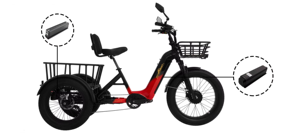 Bicicleta Eléctrica de Carga Familiar Ecargo de 2500w, 3 Ruedas, Controlador Lishui, Triciclo Eléctrico para Niños y Mascotas - Product Image 3