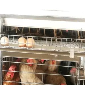 Animal Cages Chicken Hens Breeding Equipment Egg Layer Chicken Cage Used In Poultry Farm