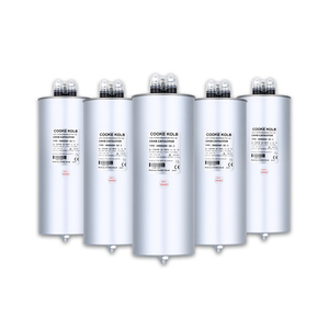 Điện áp thấp AC Bộ lọc 480V Hệ số công suất sửa chữa tụ - Product Image 2