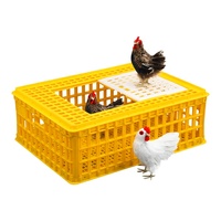 Caisse de transport robuste en plastique haute résistance, couleurs personnalisées, 75*55*27 cm, sûre pour le transport de poulets