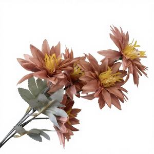 Rose de <span class=keywords><strong>bleuet</strong></span> - Product Image 6