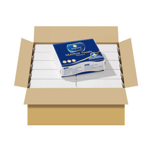 Asciugamani di Carta Personalizzati a 2 Veli, Piegati a N, a Z o Multifold, Asciugamani di Carta Intercalati, 200 Fogli - Product Image 4