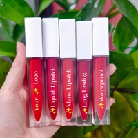 Gloss à lèvres naturel brillant personnalisable, maquillage végétalien waterproof, rouge à lèvres liquide, marque privée, rouge à lèvres mat longue tenue non-collant