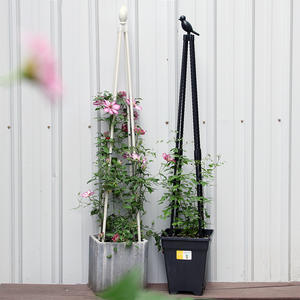 Cage de Support des plantes sous forme de Cage, plantes, accessoire pratique pour le jardinage, les tomates, tuyaux en treillis, jardinage - Product Image 2