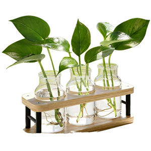 Macetas de Cerámica con Forma Humana para Suculentas, Estilo Rústico, Decoración para el Hogar, CF Creative - Product Image 1