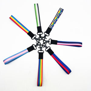 BSBH LGBTQ Rainbow Gay <span class=keywords><strong>Pride</strong></span> Poliéster Logo Personalizado Profesor Muñequera Cordón Llavero Cordón Personalizado - Product Image 5