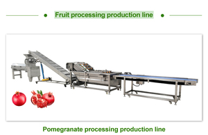 Presse-agrumes industriel en spirale pour pommes, oranges et raisins Extracteur de jus de fruits - Product Image 6