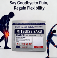 Patchs Musculaires à Base de Plantes Style Japonais pour le Soulagement des Douleurs Musculaires