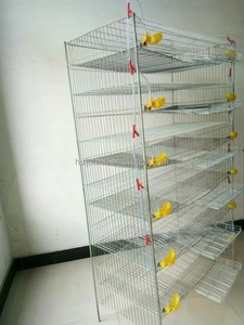 Cages à <span class=keywords><strong>cailles</strong></span> stables pour 300 <span class=keywords><strong>cailles</strong></span> HJ-QC400A - Product Image 3