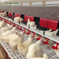 Plancher en plastique à lattes pour poulets de chair en élevage