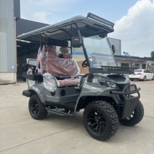 <span class=keywords><strong>Voiture</strong></span> de golf électrique 3-4 places, <span class=keywords><strong>voiture</strong></span> classique avec un puissant moteur AC de 3 kW, contrôleur de moteur électrique, <span class=keywords><strong>voiture</strong></span> de golf électrique - Product Image 2