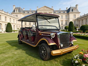 Voiture Classique Vintage 5-11 Places, Vente Chaude, Forte Capacité de Montée, Charge Élevée, Faible Consommation d'Énergie, Conduite Silencieuse - Product Image 1