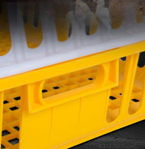 Cage de Transport des poules en plastique, 2 pièces, Cage de Transport des oiseaux - Product Image 5