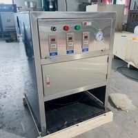 Industriële voedselverwerkingsmachine voor het schillen van uien, van roestvrij staal, elektrisch, voor het verwijderen van uienhuiden