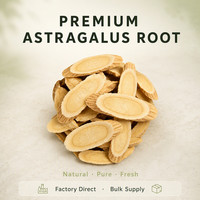 Astragalus Root Bebas Aditif Langsung dari Pabrik untuk Sup, Teh, Pengolahan Minuman, dan Peningkatan Kekuatan Fisik