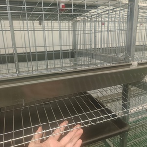 Cage à poules de type H, système d'alimentation automatique à faible bruit, grande capacité, poulailler pour ferme avicole - Product Image 3