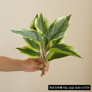 Hot Bán Mô Phỏng Màu Xanh Lá Cây Nhân Tạo Cây Xanh Variegated Gỗ Rùa Trở Lại Lá Tường Trang Trí Nhà Máy Đặt Bó - Product Image 6