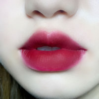 Mini rouge à lèvres velours à application douce, résistant au transfert, baume à lèvres mat pour fournisseur de maquillage