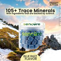 Gommes à mâcher aux herbes de Shilajit pur de l'Himalaya, Ashwagandha, Racine de Bardane, Acide Fulvique, Mousse de Mer – Antioxydant et Soutien Immunitaire pour Adultes – Durée de conservation : 24 mois