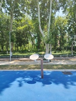 GB19272-2024 Aparato de Tai Chi Giratorio para Exteriores, Plataforma Giratoria de Acero, Columna Compuesta, Equipo de Fitness para Parque para 2 Personas, Ejercicios de Brazos y Hombros