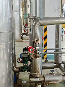 Kleine ovale tandwieldebietmeter van roestvrij staal met LCD-display voor aardgas, common rail bench, OEM aanpasbaar - Product Image 5