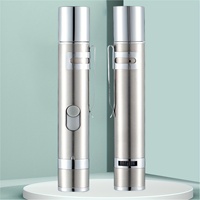 Pointeur laser électronique interactif multifonctionnel amusant pour chat, en acier inoxydable, rechargeable et écologique, vente chaude