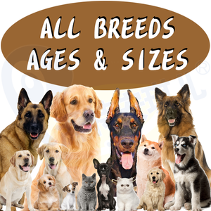 Pastillas multivitamina para <span class=keywords><strong>perros</strong></span>, productos y suplementos para la salud de las mascotas, ayuda para la diabetes, probióticos de digestión saludables para <span class=keywords><strong>perros</strong></span> - Product Image 5