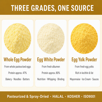Poudre de protéines d'œuf de qualité supérieure en vrac, pasteurisée, riche en protéines, sans produits laitiers, sans lactose, alternative au lactosérum, pour la nutrition sportive