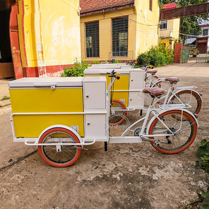 Tricycle électrique personnalisé avec congélateur, vélo électrique, 10 pouces, Street, alimentation, réfrigérateur - Product Image 4