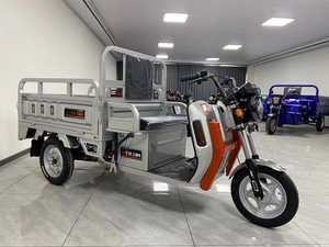 Vélo-taxi à 3 roues en promotion, fourni directement par l'usine / Tricycle électrique - Product Image 5