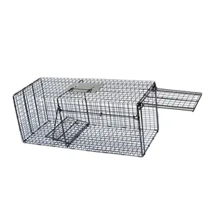 Piège à cage pour animaux vivants en métal galvanisé Piège à cage à rats extérieur sans cruauté pour le contrôle des rongeurs pour le lapin