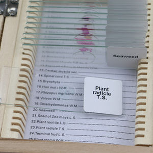 Conjunto de toboganes para educación superior, conjunto de alta calidad y mejor precio para la ciencia médica de la biología y la zoología, Mitosis y Meiosis - Product Image 4