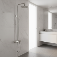 Mitigeur de douche thermostatique en acier inoxydable, robinet de douche apparent européen pour salle de bain