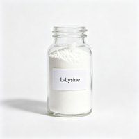 Poudre d'acides aminés non aromatisée pour les boissons sportives, les smoothies, les compléments post-entraînement, supplément de fitness OEM, poudre de L-Lysine